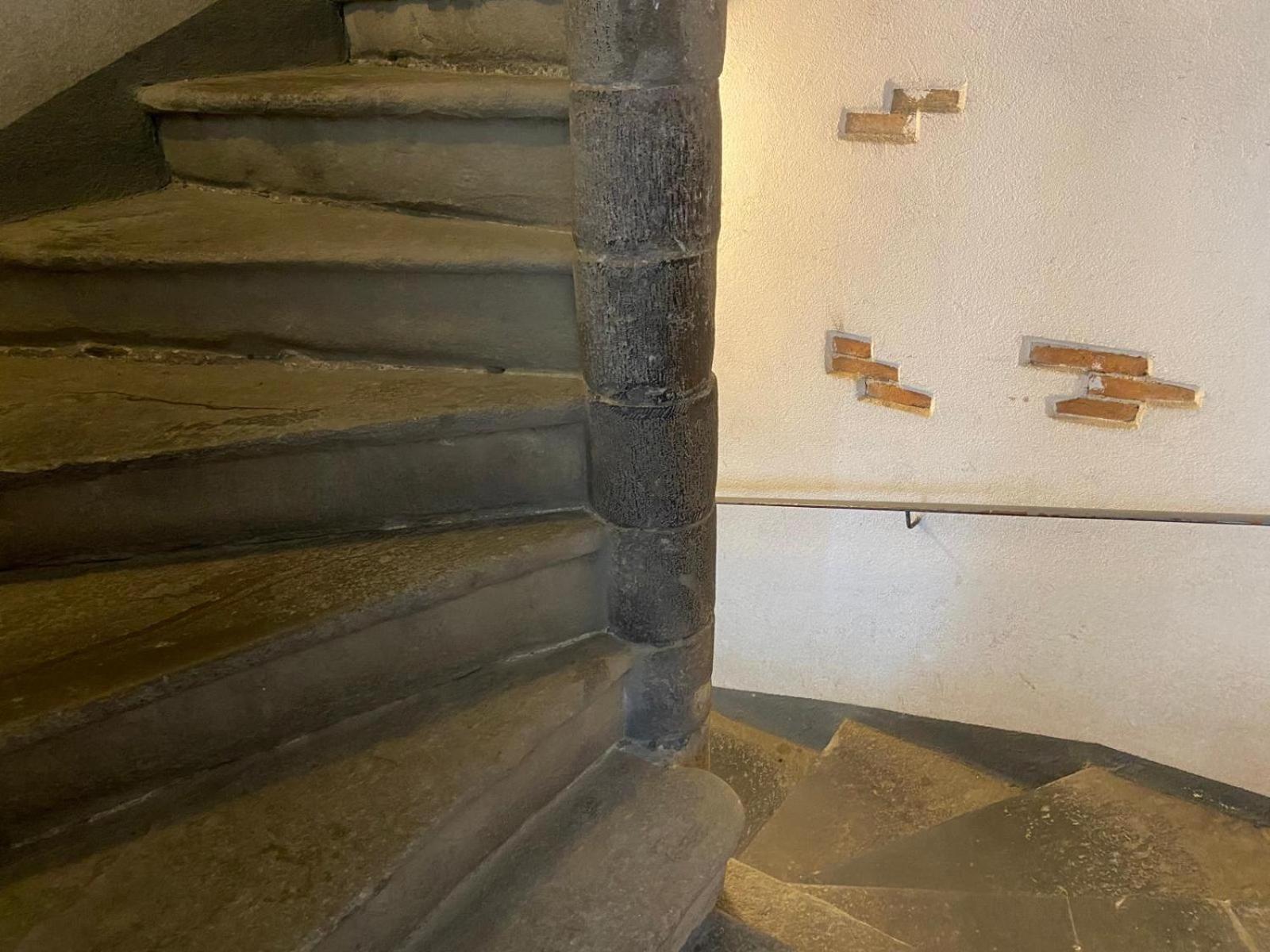 Nido Carrara - Immobili E Soluzioni Rent * Bergamo
