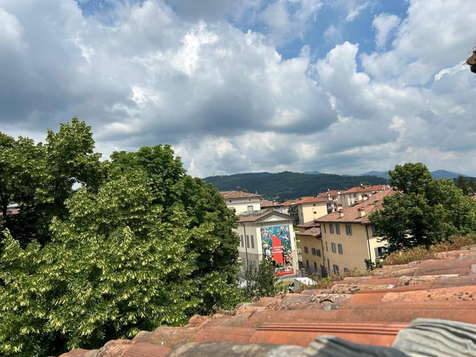 Nido Carrara - Immobili E Soluzioni Rent *