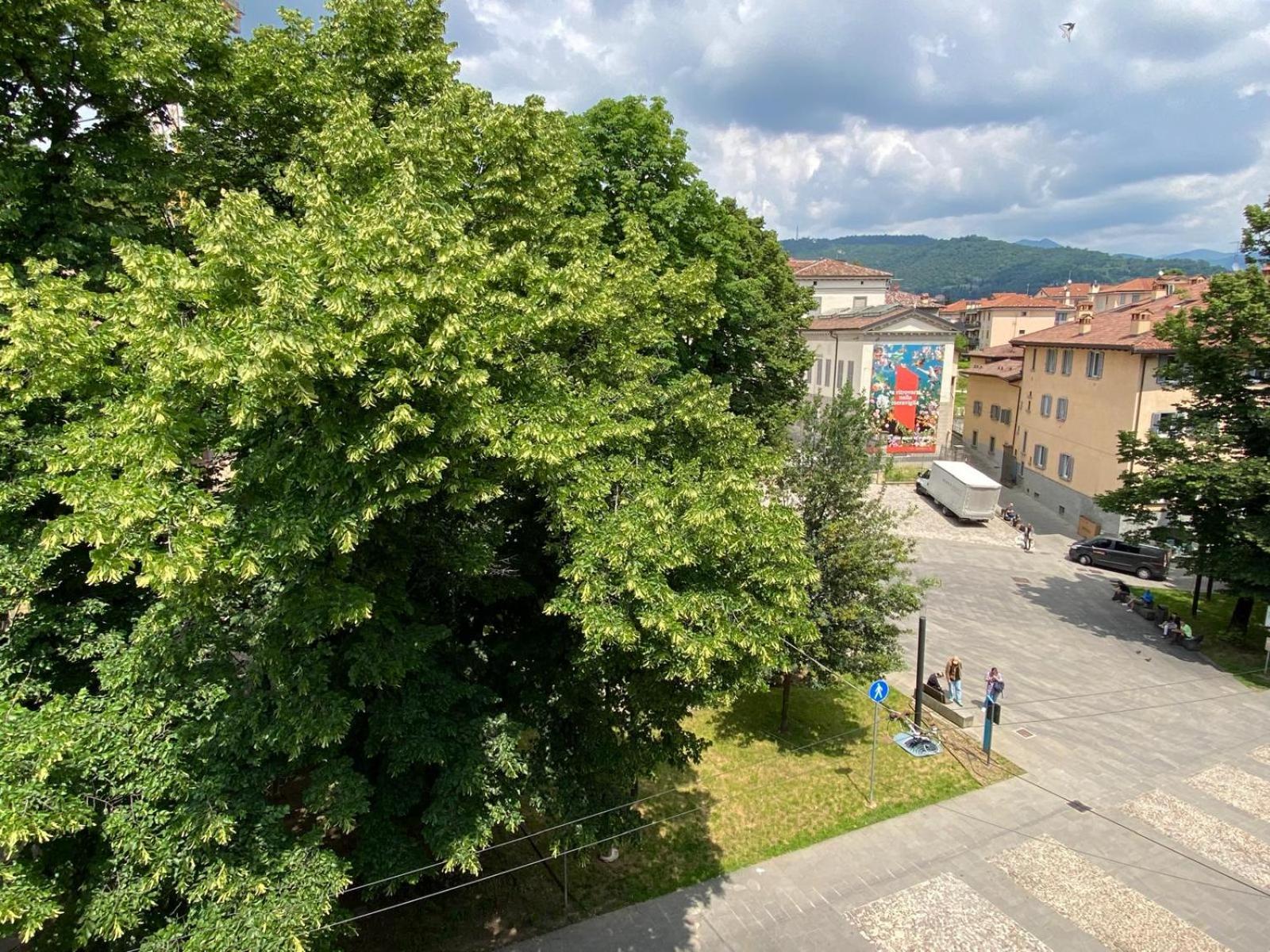 Nido Carrara - Immobili E Soluzioni Rent *